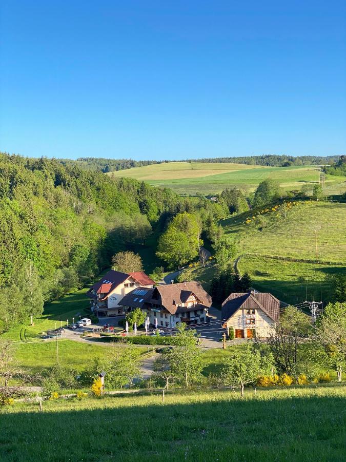 Biederbach Baden-Württemberg 佩尔兹老磨坊乡村旅馆酒店 外观 照片