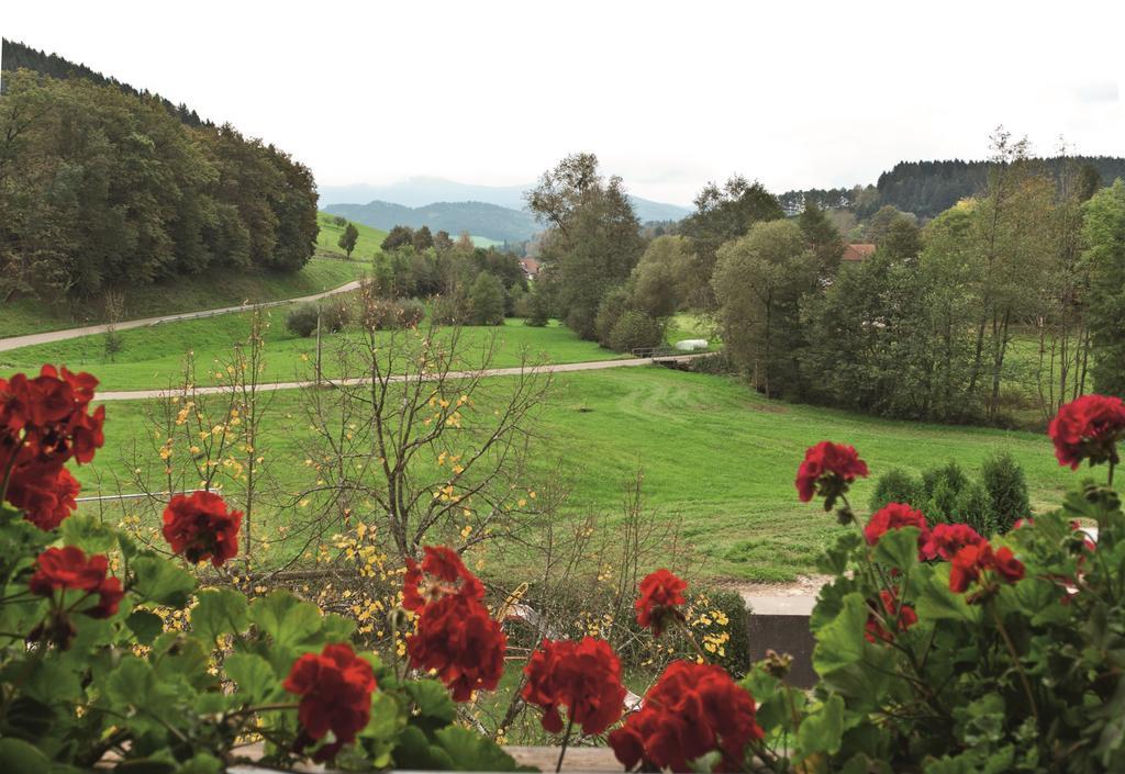 Biederbach Baden-Württemberg 佩尔兹老磨坊乡村旅馆酒店 客房 照片